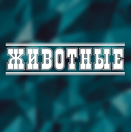 Животные